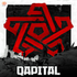 qapital2016.jpg