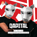 qapital2018.jpg